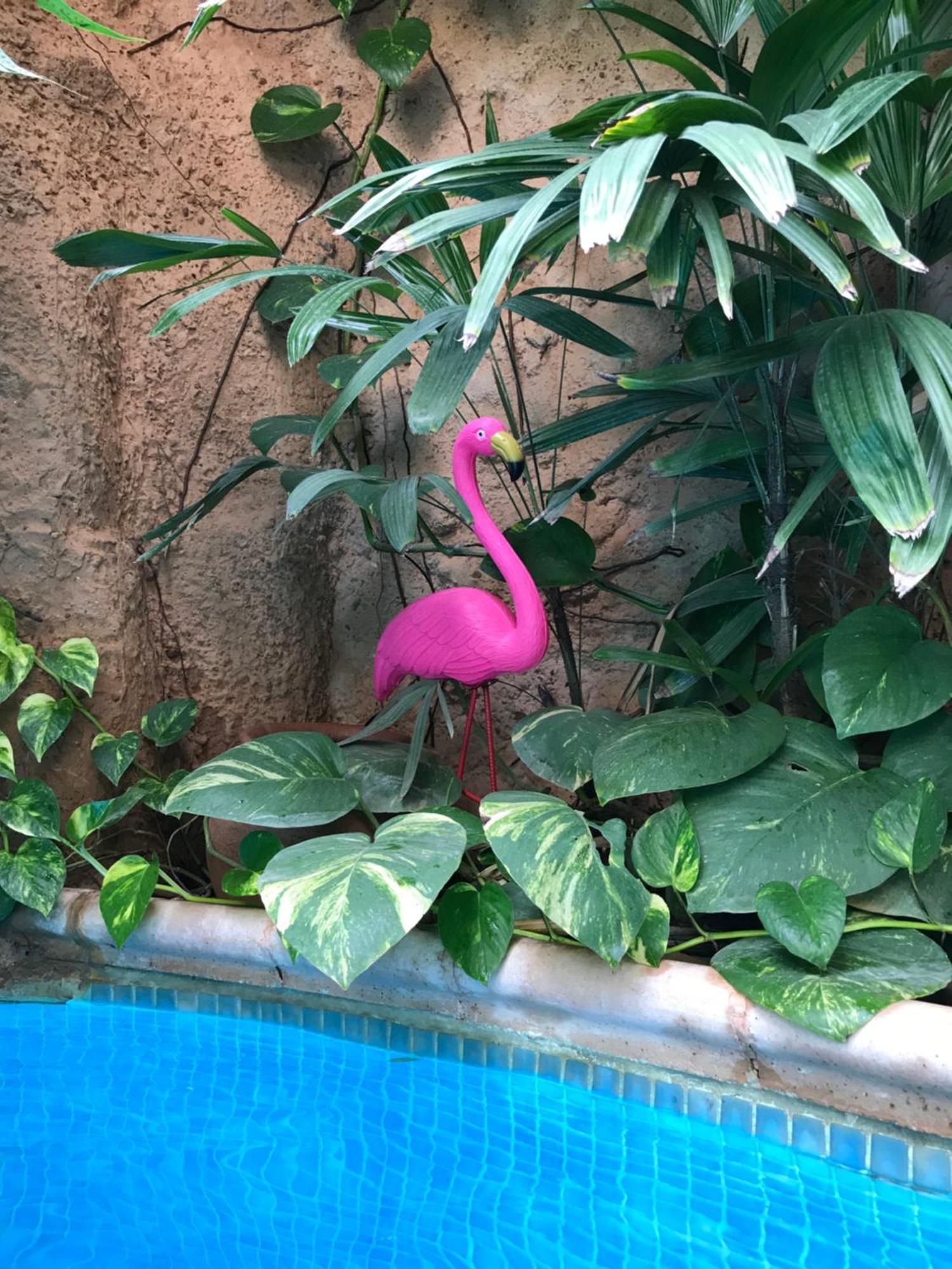شقة Tropical Oasis Ouakam المظهر الخارجي الصورة
