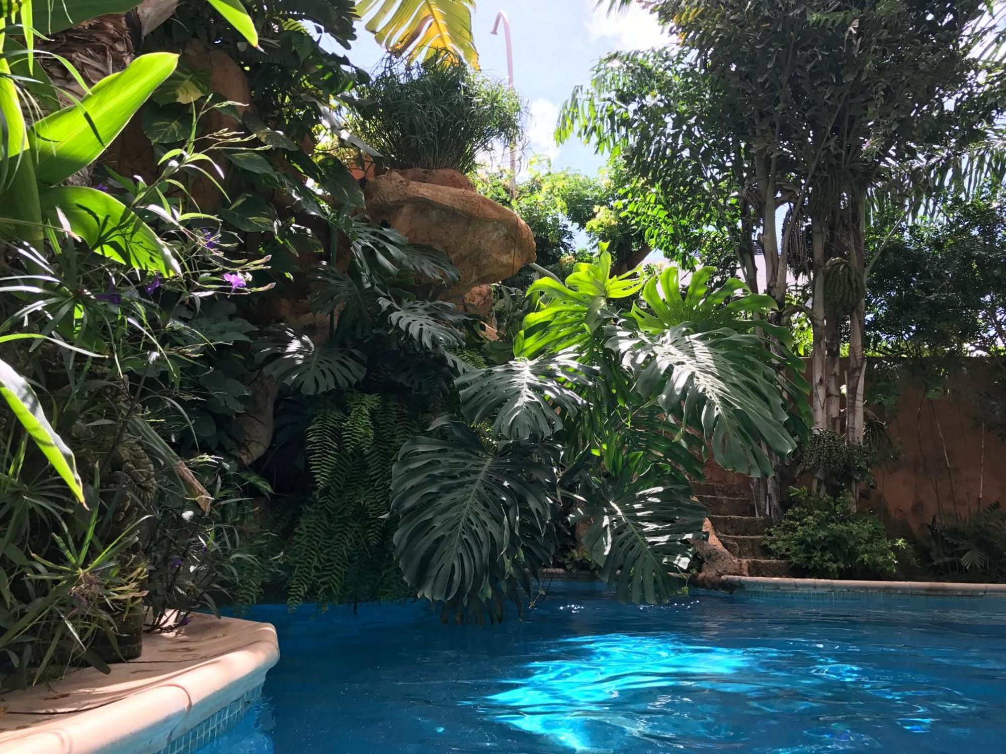 شقة Tropical Oasis Ouakam المظهر الخارجي الصورة
