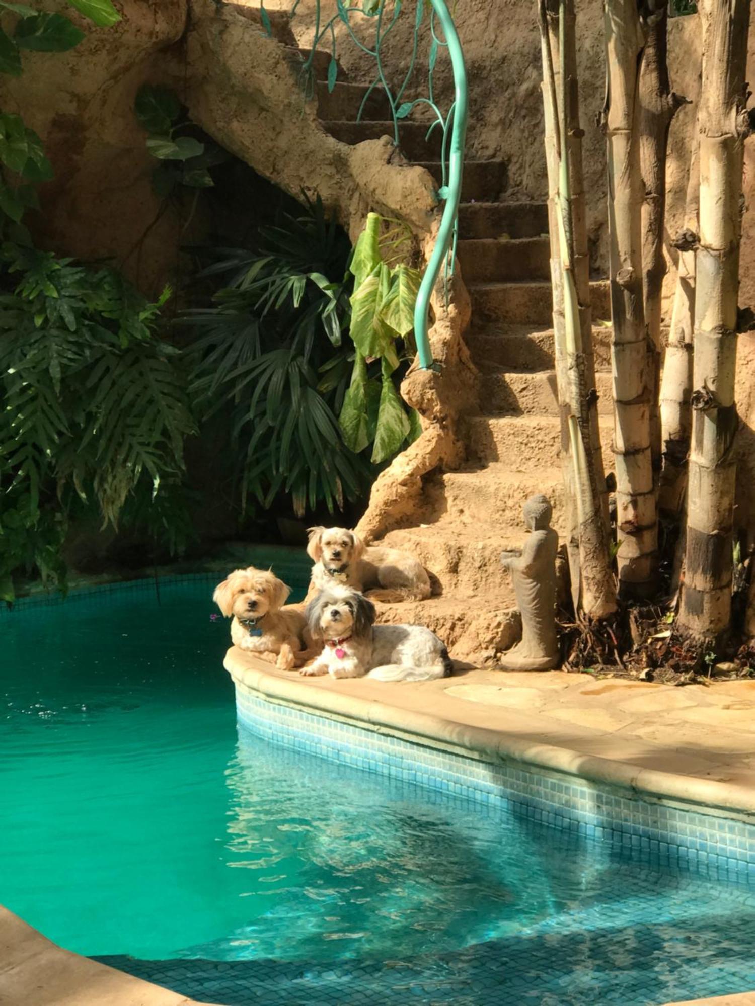 شقة Tropical Oasis Ouakam المظهر الخارجي الصورة